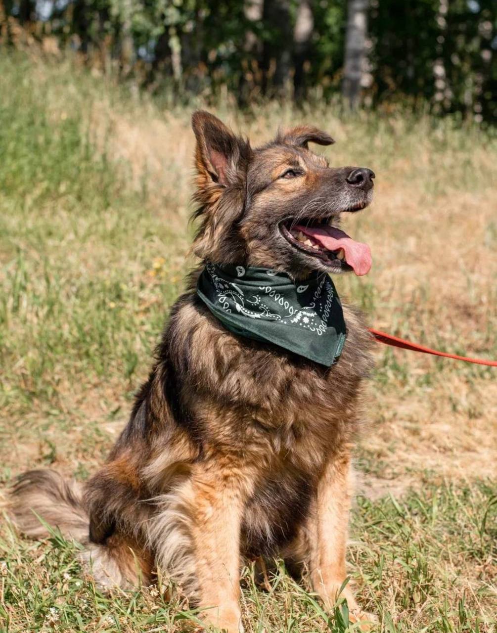 Дэнчик из Некрасовки