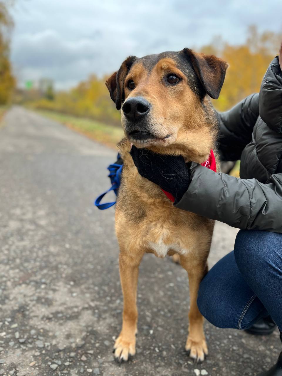 Кит из Некрасовки