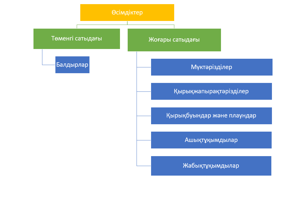 Фетишке арналған жеке іш киім
