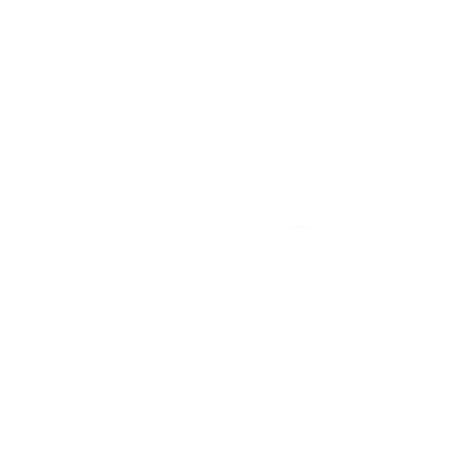 Monte-Carlo SBM Best Partner