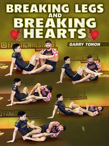 Foundations of BJJ cover