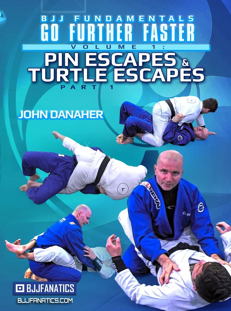 Pin Escapes & Turtle Escapes cover