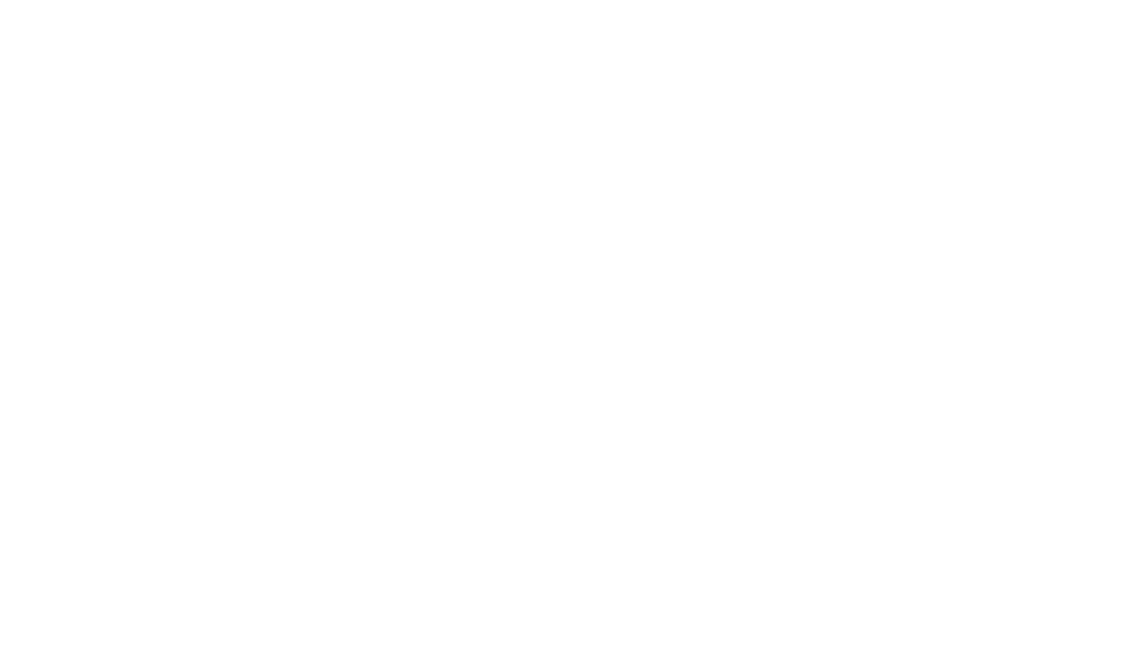 American Exchange Kazakhstan