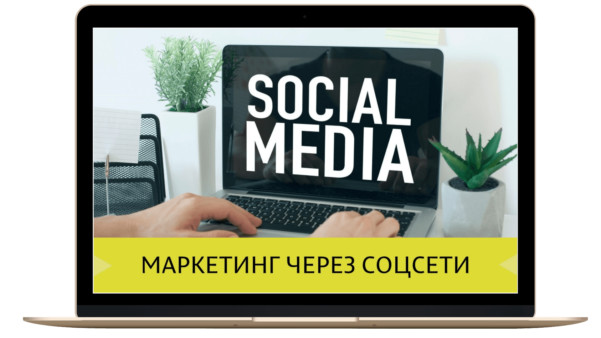 курсы фриланса