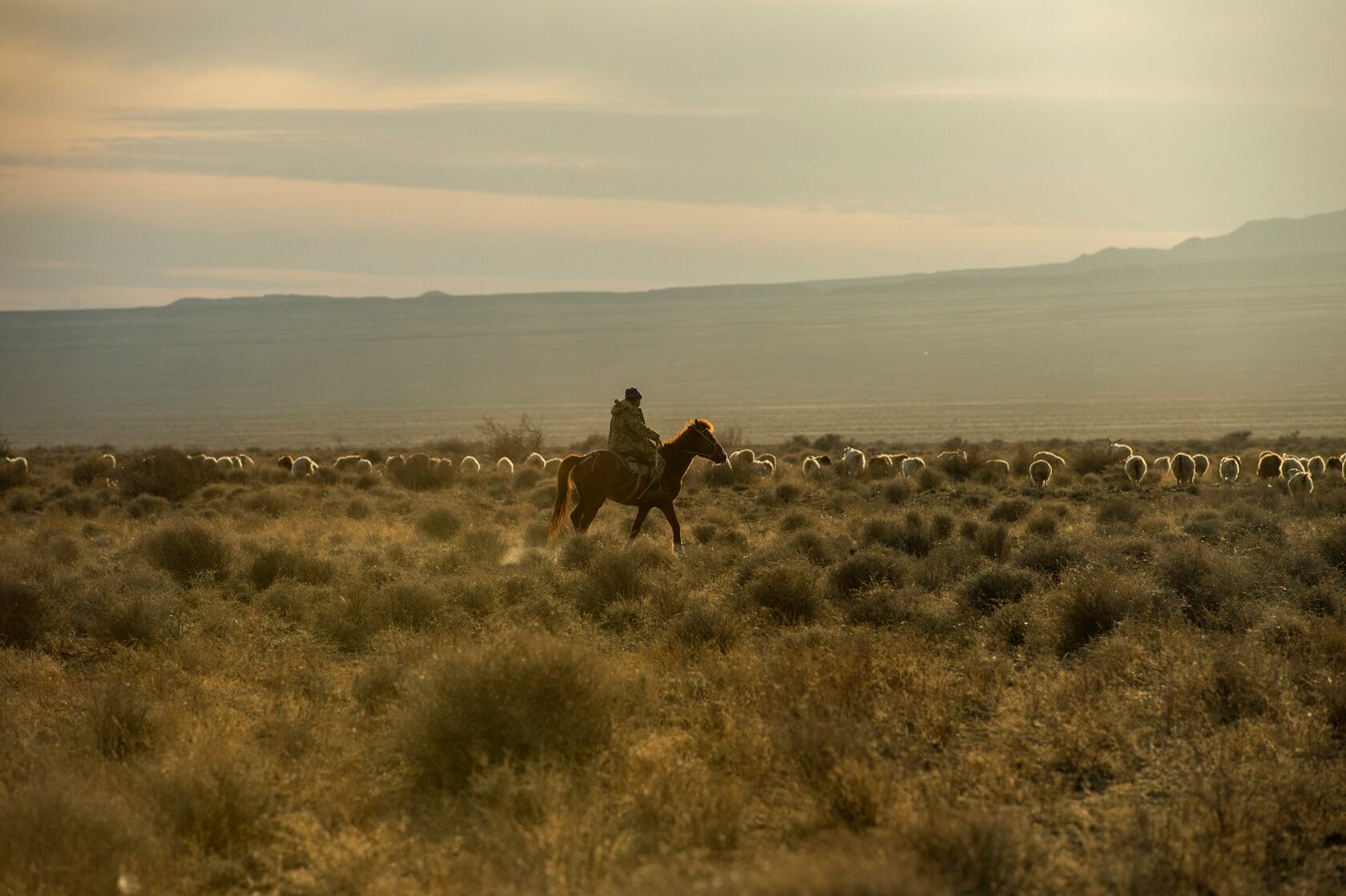 Private journey in Kazakhstan