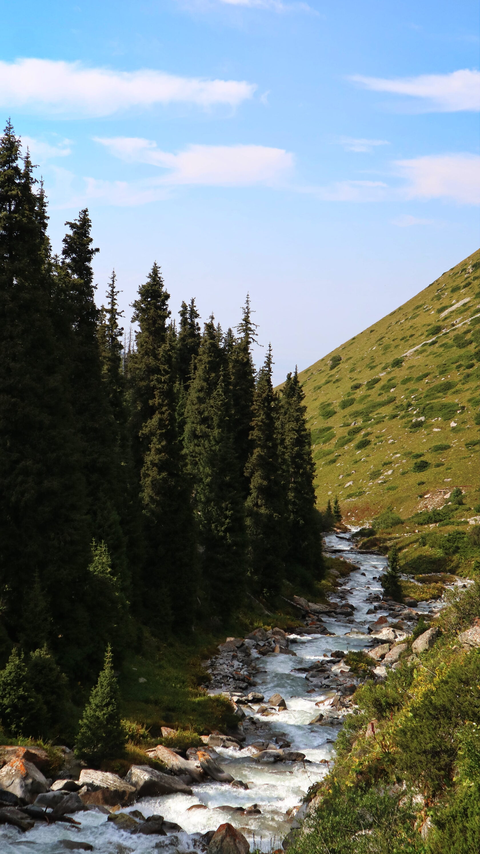 Almaty-Alagir Pass Trek - 4 days moderate difficulty mountain trek