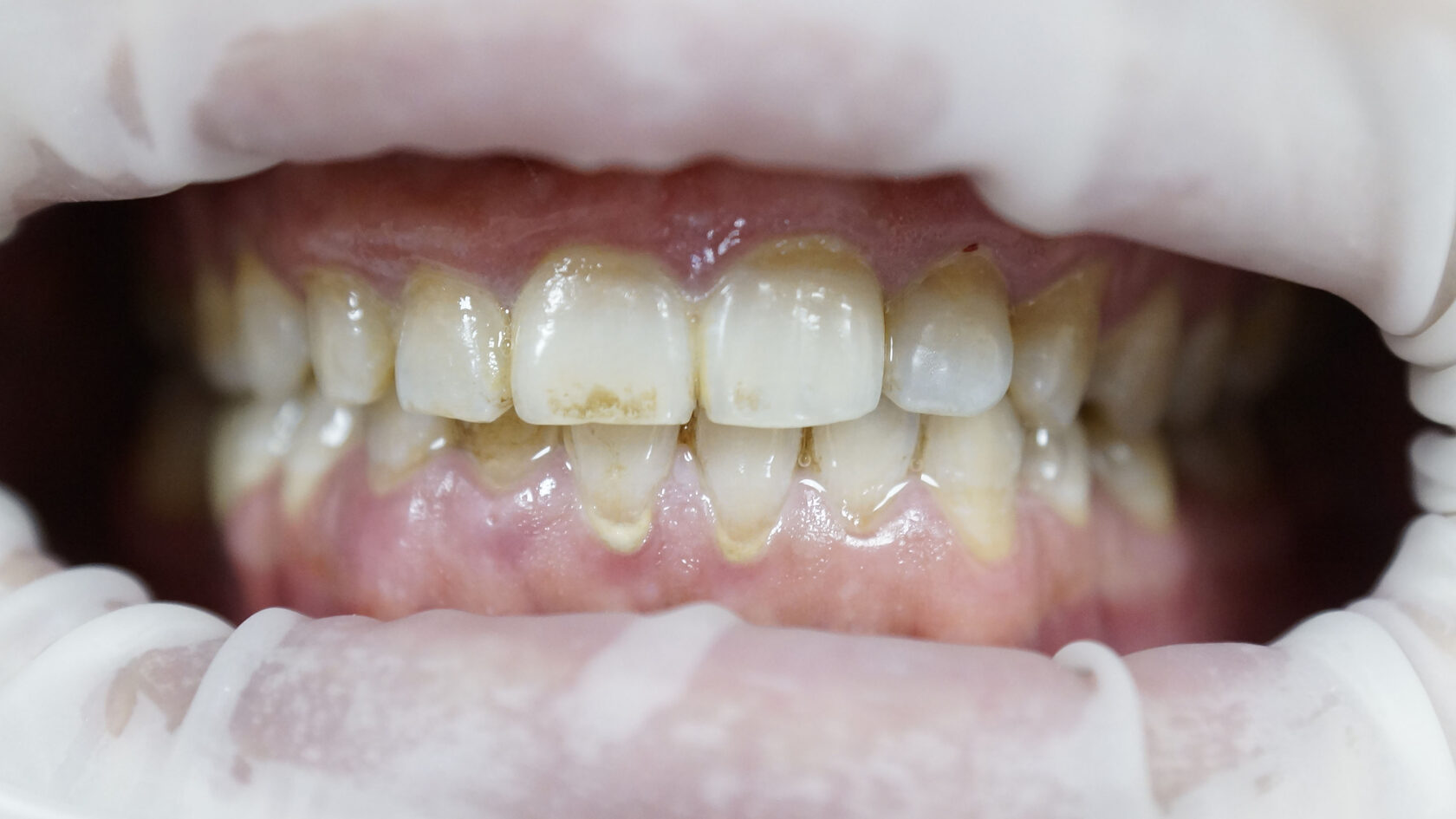 Порно сиыр қыз жинағы