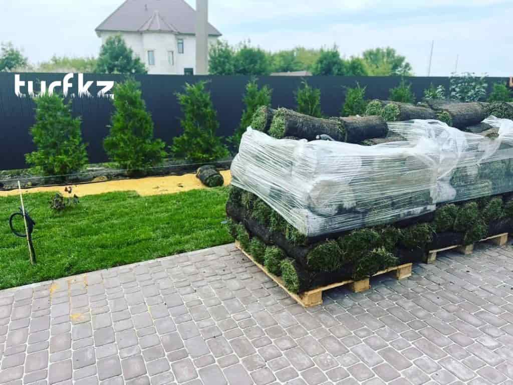 Натуральный рулонный газон с прочным дерном. Переходите