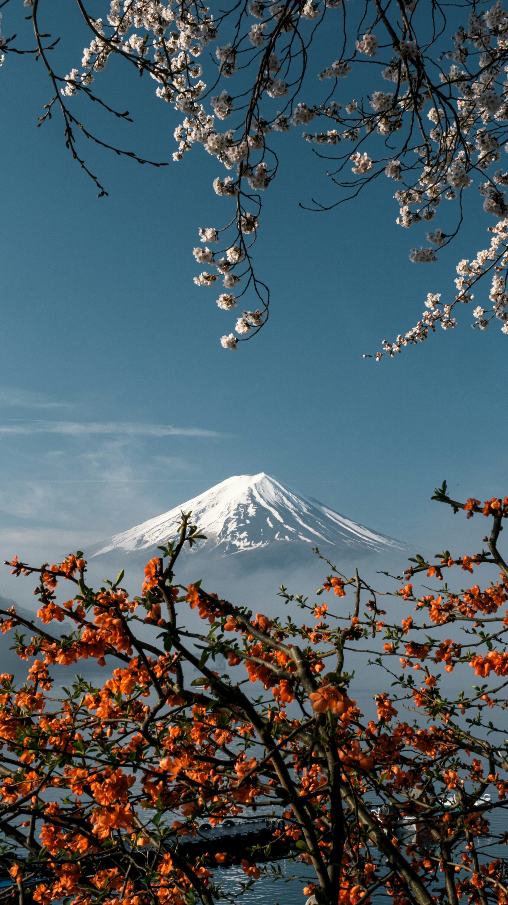 Journeys and itineraries