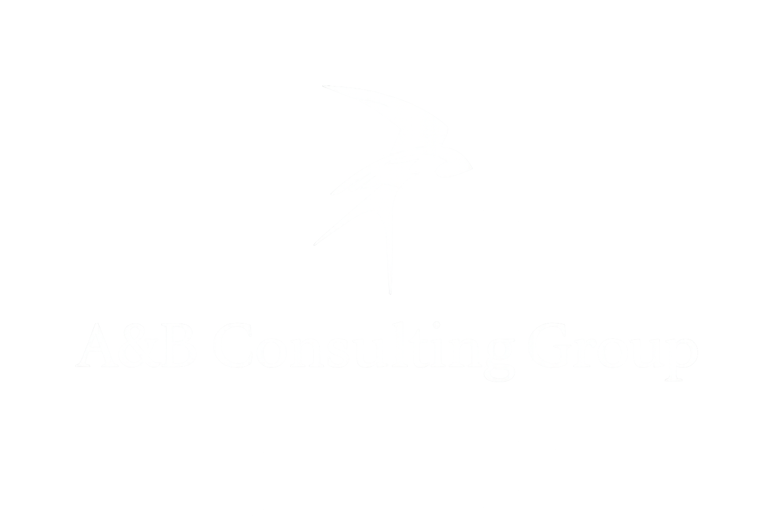 A&amp;B Consulting Group