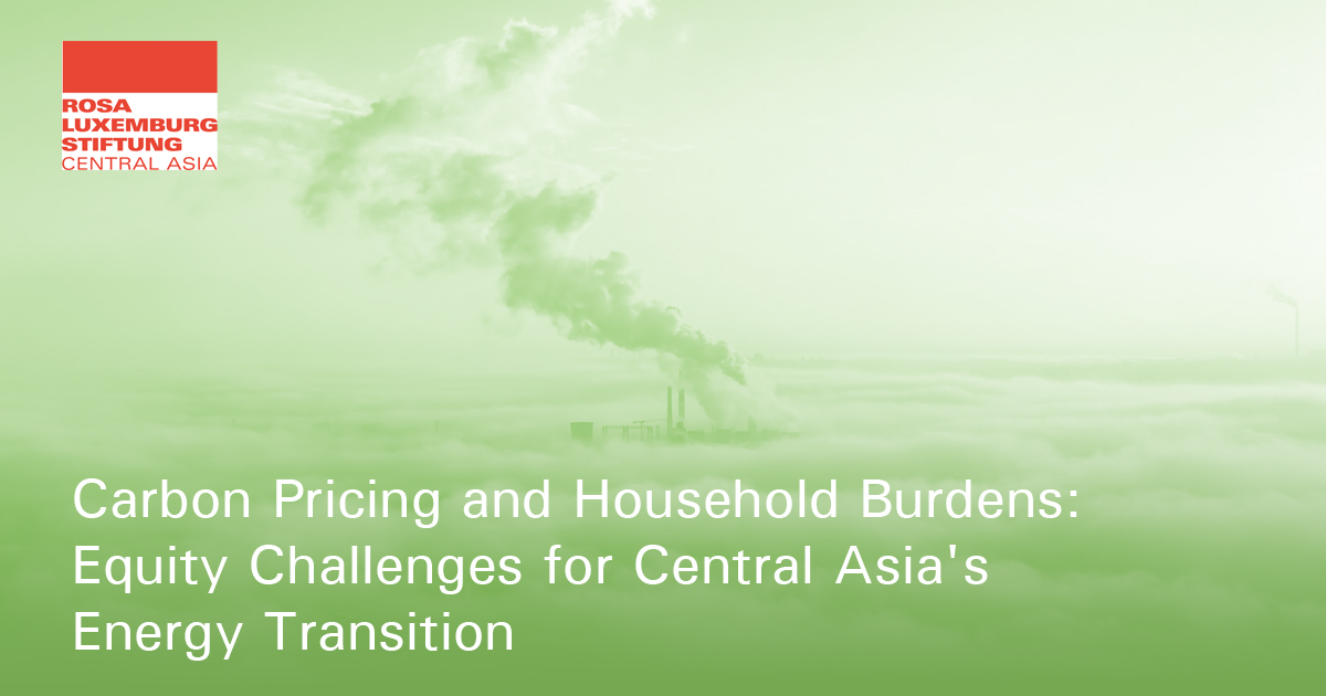 Carbon Pricing and Household Burdens: Equity Challenges for Central ...