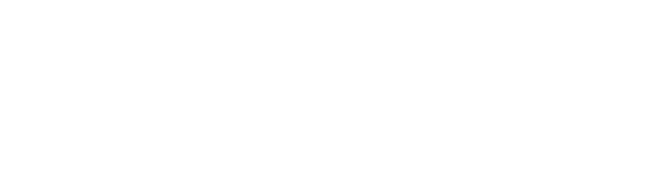Elitestom